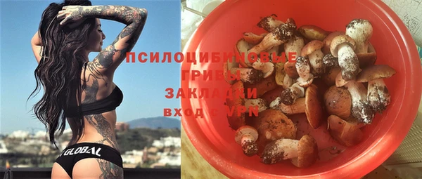 тгк Белокуриха