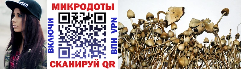 ссылка на мегу ССЫЛКА  Волчанск  Галлюциногенные грибы Cubensis 